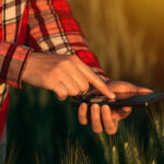 Hightech gegen Schädlinge: So unterstützt Traplinked moderne Landwirte